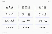 Austral Slab | Hand-drawn Slab Serif, a Slab Serif Font by Antipixel Type Studio (Thumbnail 12 of 17)