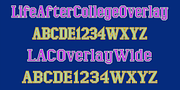 LifeAfterCollege, a Slab Serif Font by Ingrimayne Type (Thumbnail 7 of 8)