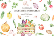 Watercolor Vegetables Collection, a Food Illustration by MayaNavits (Thumbnail 1 of 12)