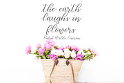 Gracefully-a Handwritten Script Font, a Script Font by lillie belles designs (Thumbnail 3 of 6)