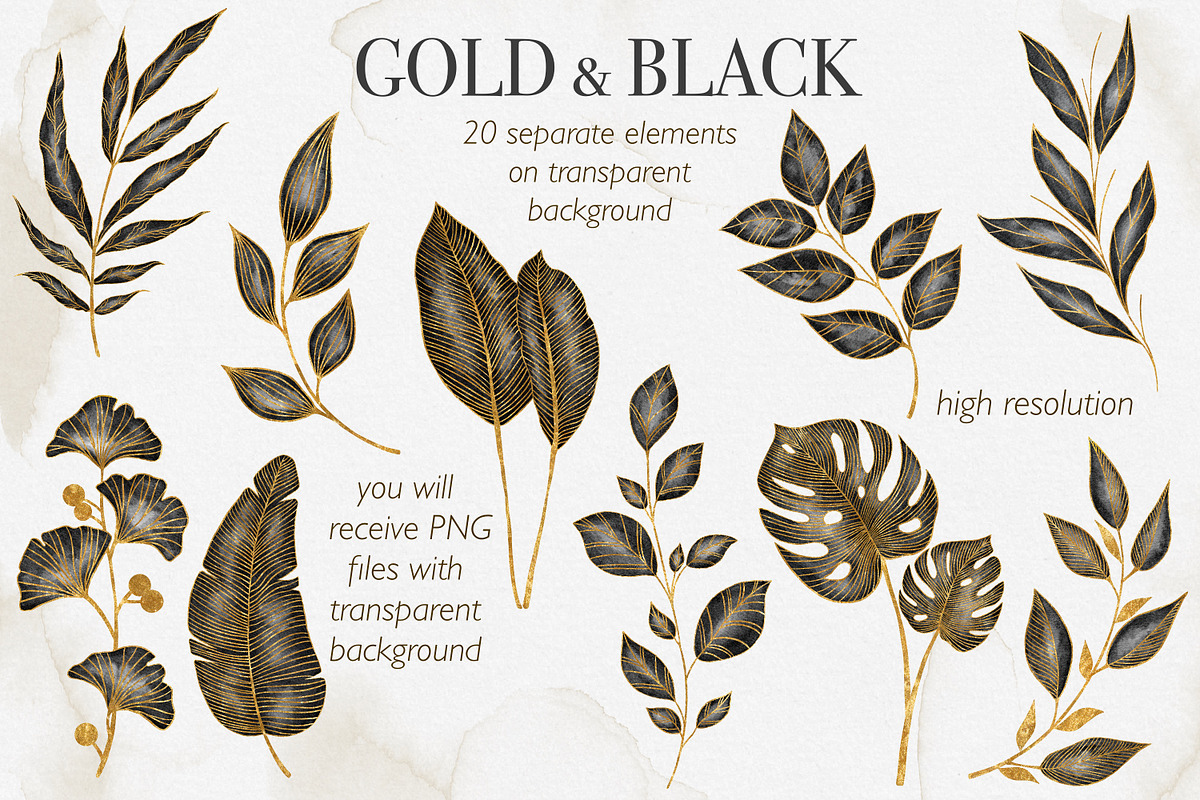 Gold and Black Leaves Clipart, a Decorative Illustration by LuiDesignStudio (Photo 2 of 5)