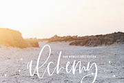 Stillness | Modern Script Font, a Script Font by KA Designs (Thumbnail 3 of 14)