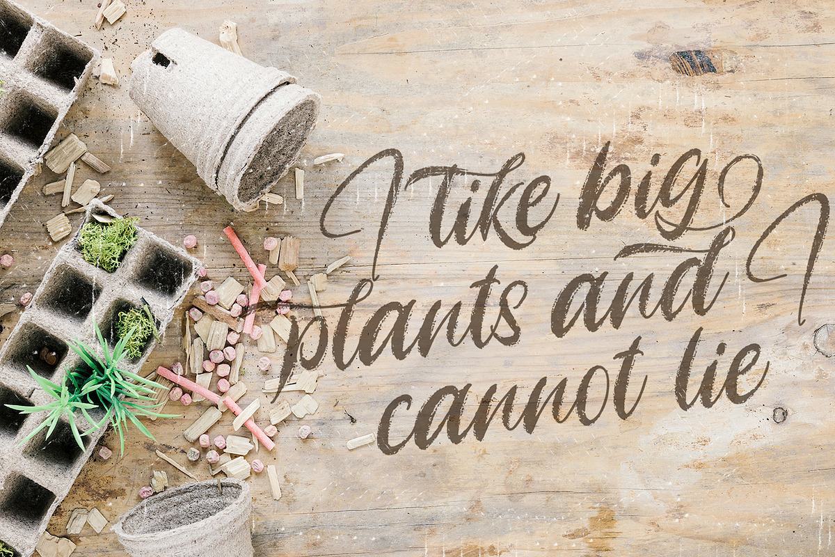 Angelicy - Textured Brush Font preview 7