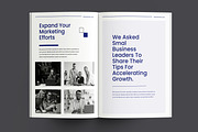 Business Proposal, a Brochure Template by FlyeredTemplate (Thumbnail 9 of 10)