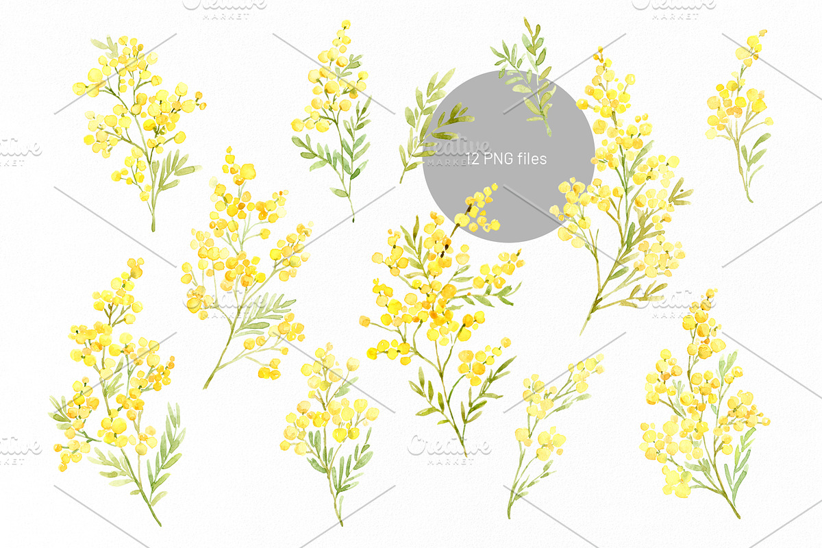 Watercolor Mimosa Branches Flowers, a Decorative Illustration by GraphicsDish (Photo 3 of 5)