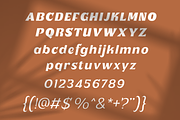 Plenary - A Lovely Sans Display, a Sans Serif Font by Fridaytype (Thumbnail 8 of 12)