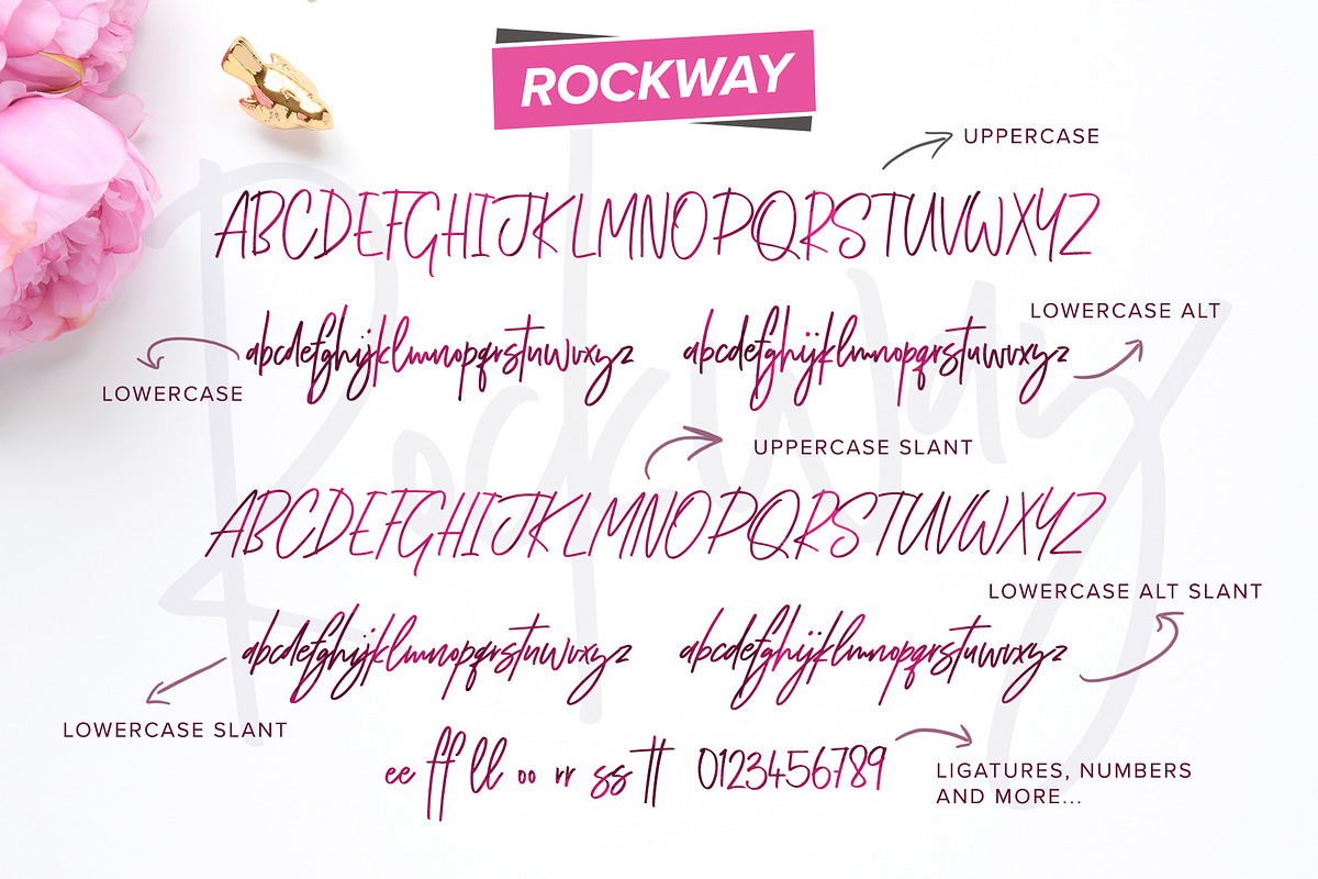Handlettered Fonts Collection preview 4