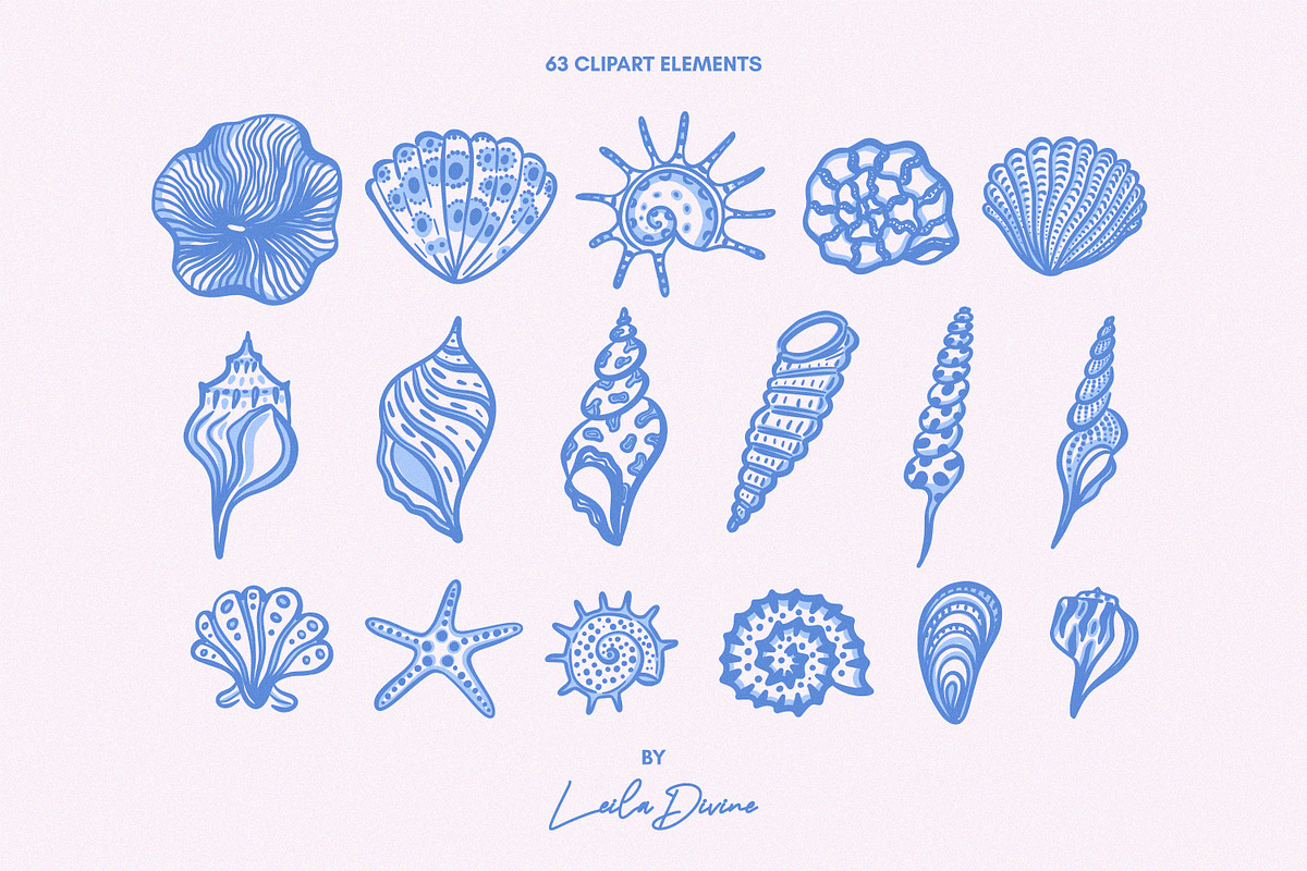 Seashells Clip Art & Patterns, an Object Graphic by Leila Divine (Photo 4 of 13)