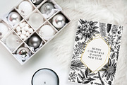 Winter Plants Set. Christmas Designs, a Seasonal Illustration by Yevheniia (Thumbnail 2 of 13)