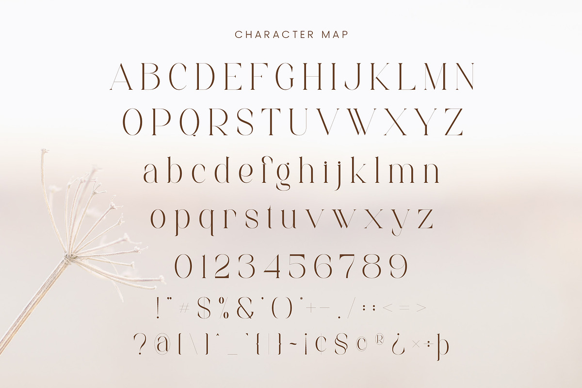 Achetta - Modern Serif Font, a Serif Font by Aqeel_Art (Photo 10 of 12)