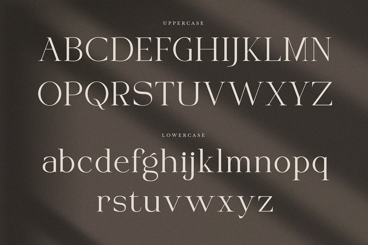 VIBERATE || ligature typeface, a Serif Font by ToniStudio (Photo 6 of 10)