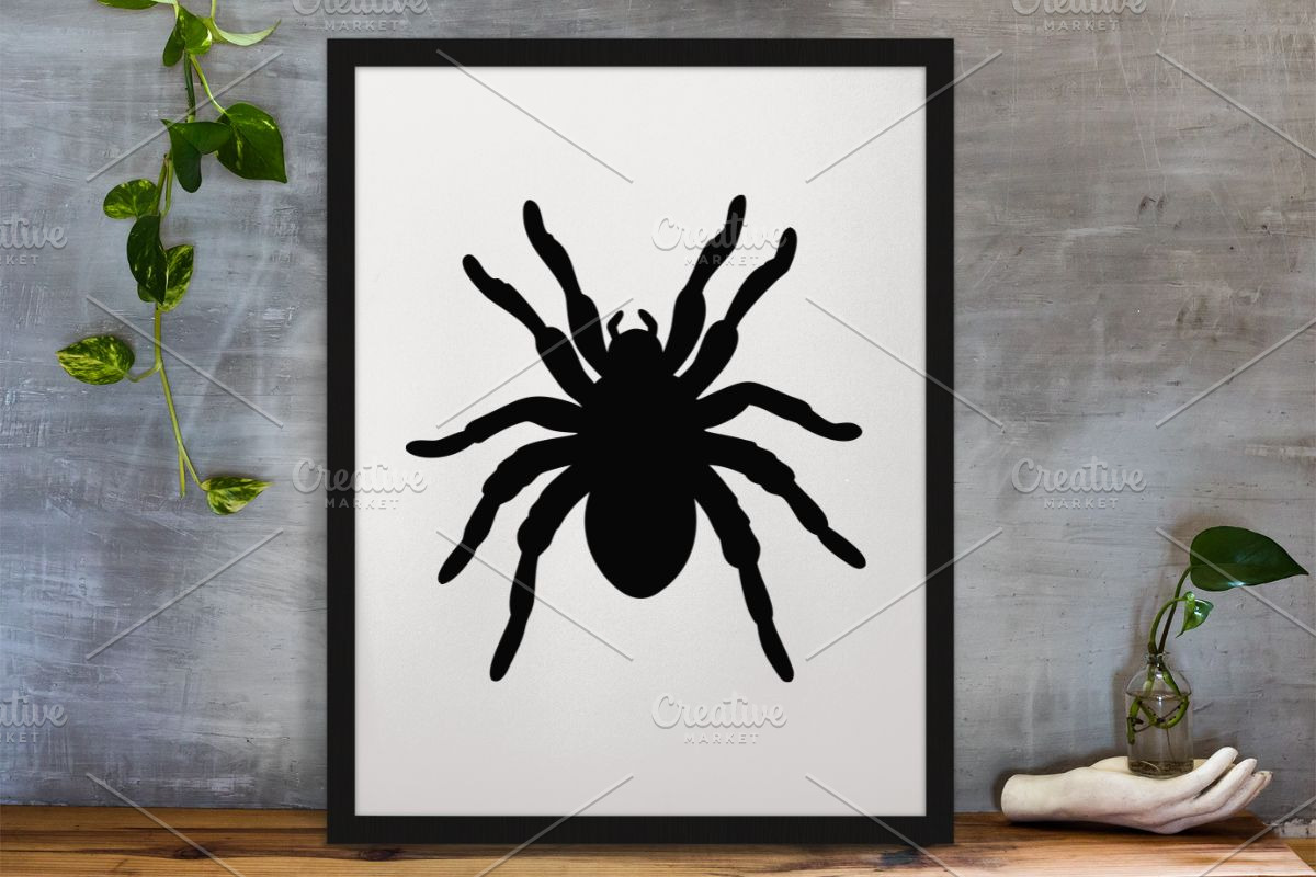 Tarantula Silhouette SVG, an Animal Illustration by newminddesign (Photo 4 of 10)
