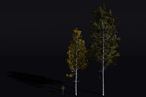 The Quaking Aspen Tree, a Plants & Tree 3D Model by FuturePastCreatives