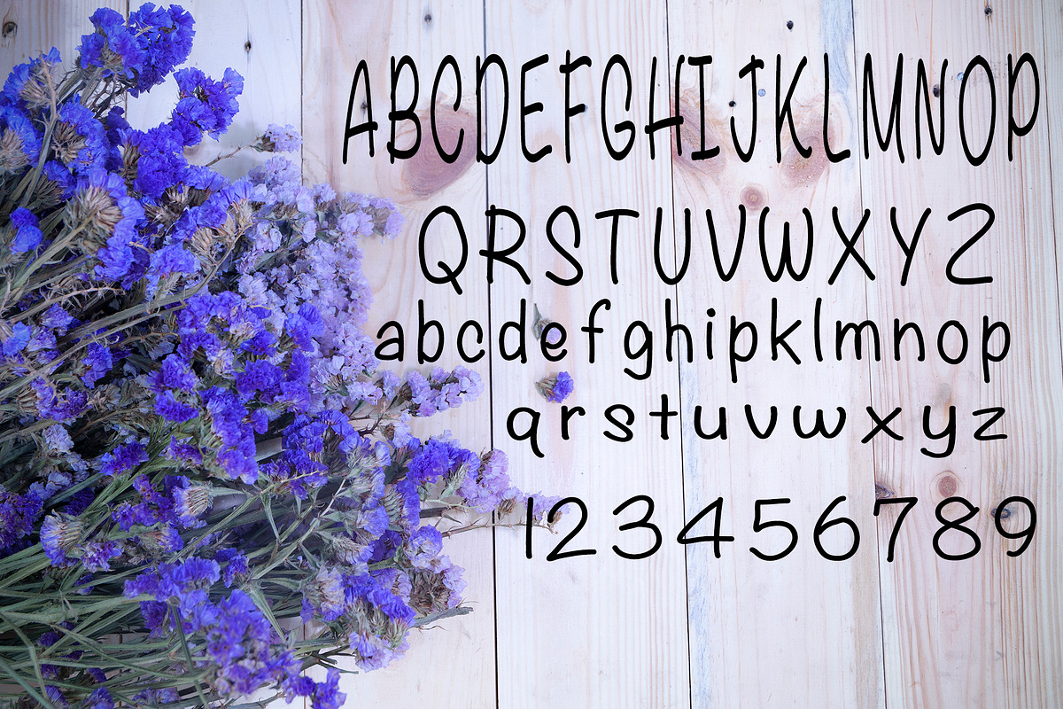 Mountain Top Handwritten Font, a Handwritten Font by Hudson Lark Studio (Photo 6 of 6)