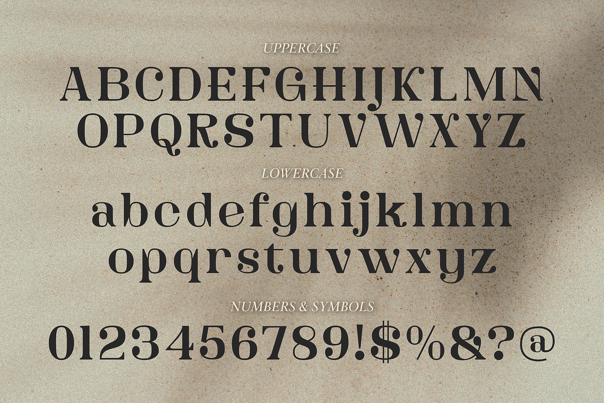 Dainey Modern Serif Font, a Serif Font by Graphue (Photo 4 of 9)