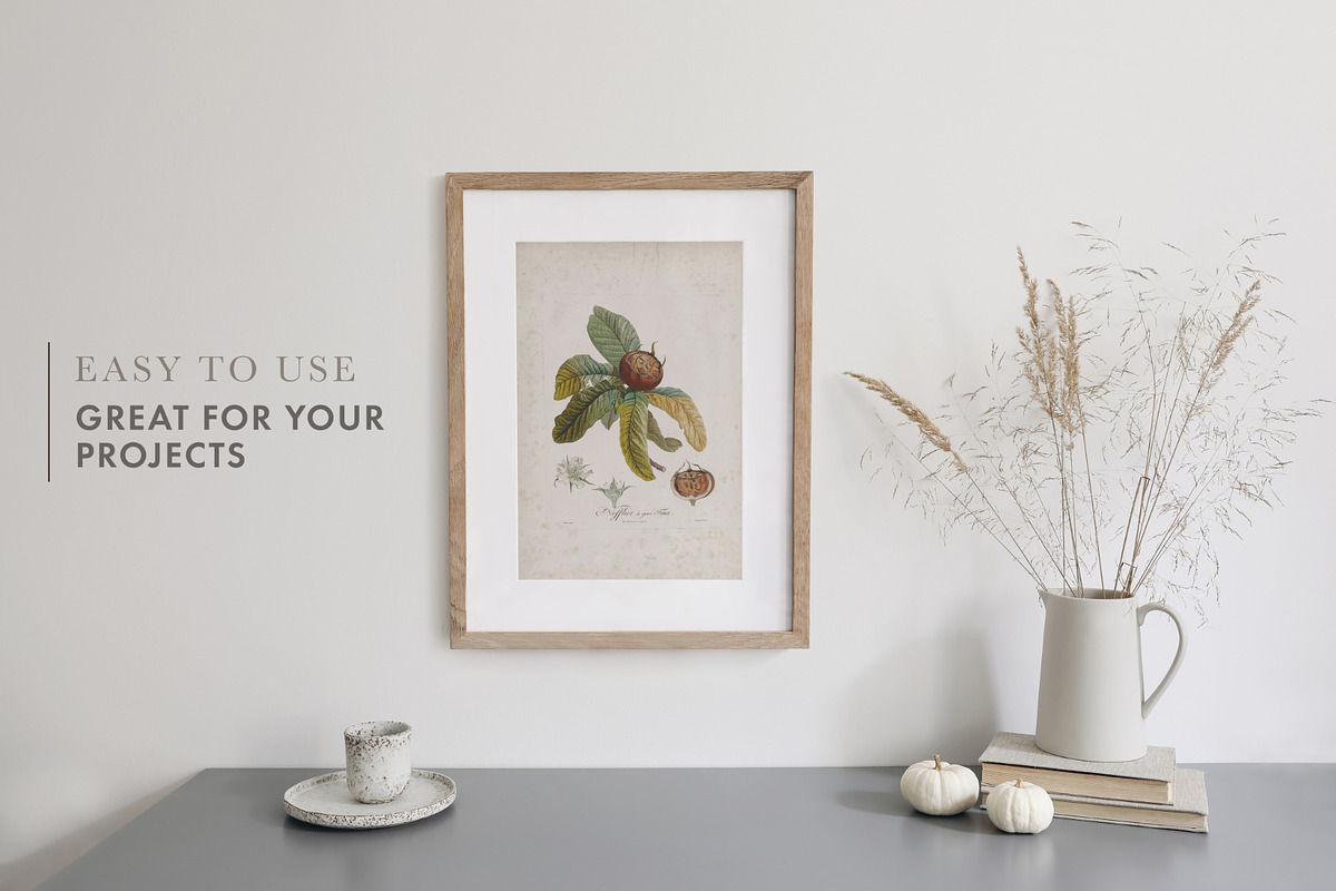 Dry Flowers Mock ups set, a Print Template by Tabita's shop (Photo 2 of 11)