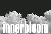 Evolve Sans Serif Display Type, a Font by Kelsey Benedict Design (Thumbnail 5 of 9)