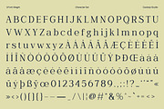 Wornella – Luxury Modern Serif, a Serif Font by Casloop Studio (Thumbnail 7 of 10)