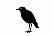 Bird Silhouette design bundle, an Illustration by BIPLOB EXPERT (Thumbnail 11 of 13)