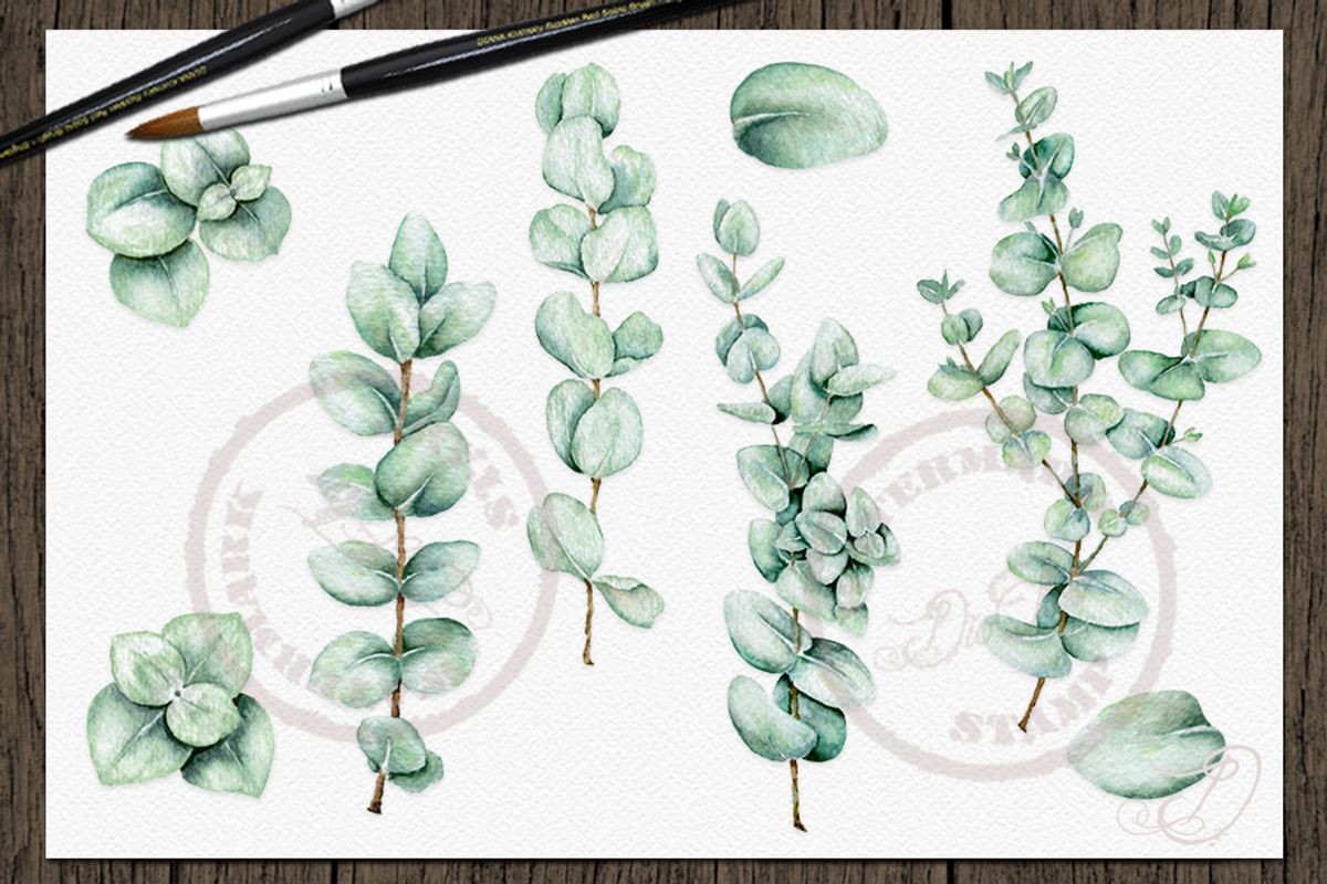 Baby Eucalyptus Illustration, a Decorative Illustration by DioFlow (Photo 6 of 6)