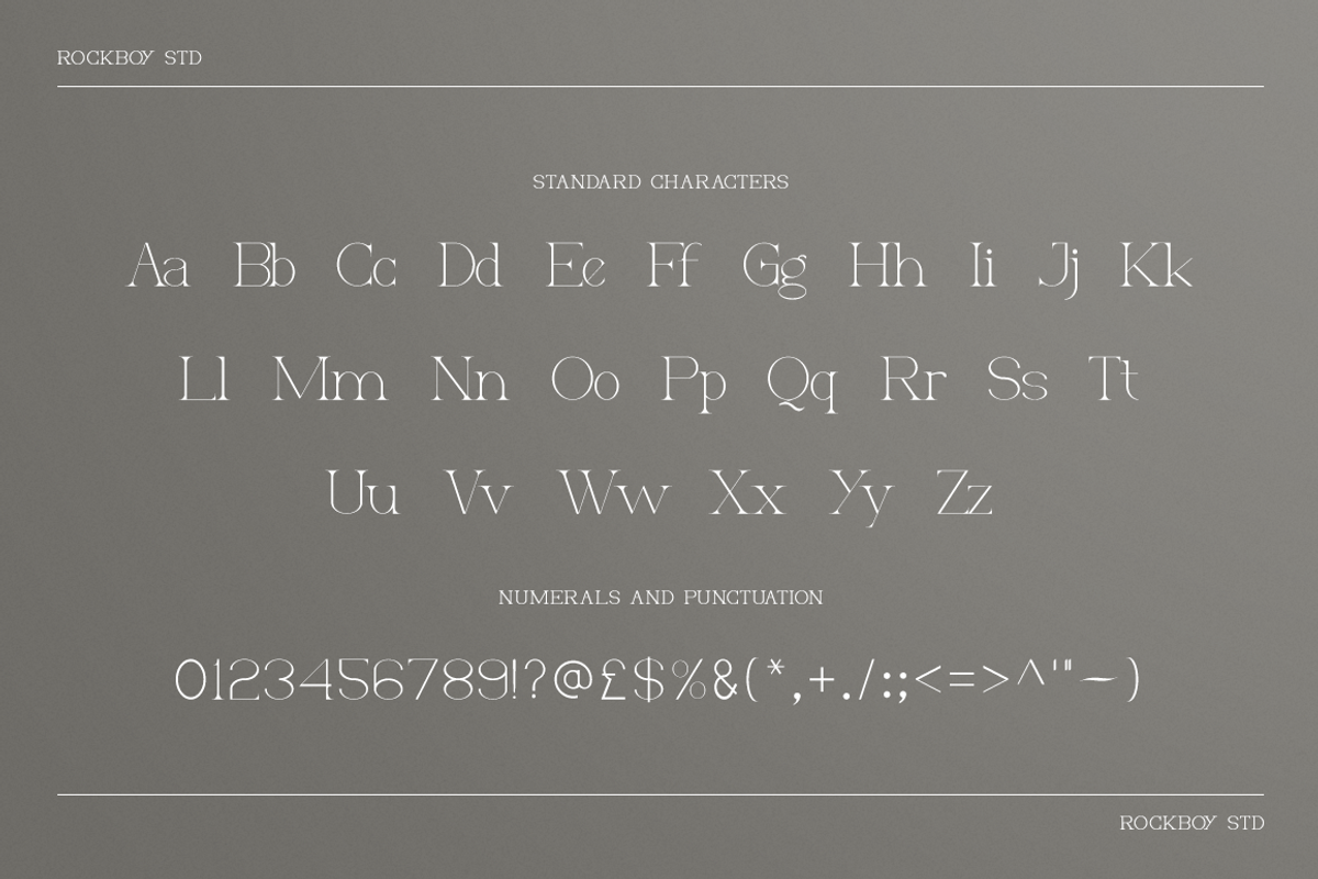 Allegrand - Elegant Serif Font, a Font by RockboyStd (Photo 10 of 12)