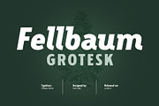 Fellbaum Grotesk Full, a Sans Serif Font by Vintage Type Company (Thumbnail 1 of 16)