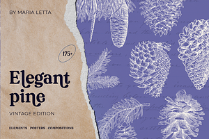Elegant Pine Vintage Vector Set