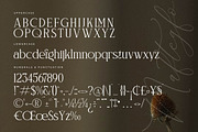 Naftegfo A New Modern Serif, a Serif Font by Storytype Studio (Thumbnail 12 of 15)