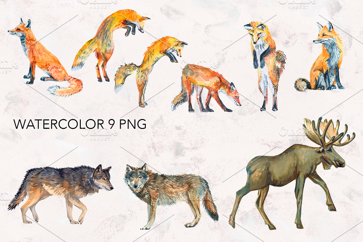 Forest Animals watercolor., an Animal Illustration by lilisavelieva (Photo 3 of 6)