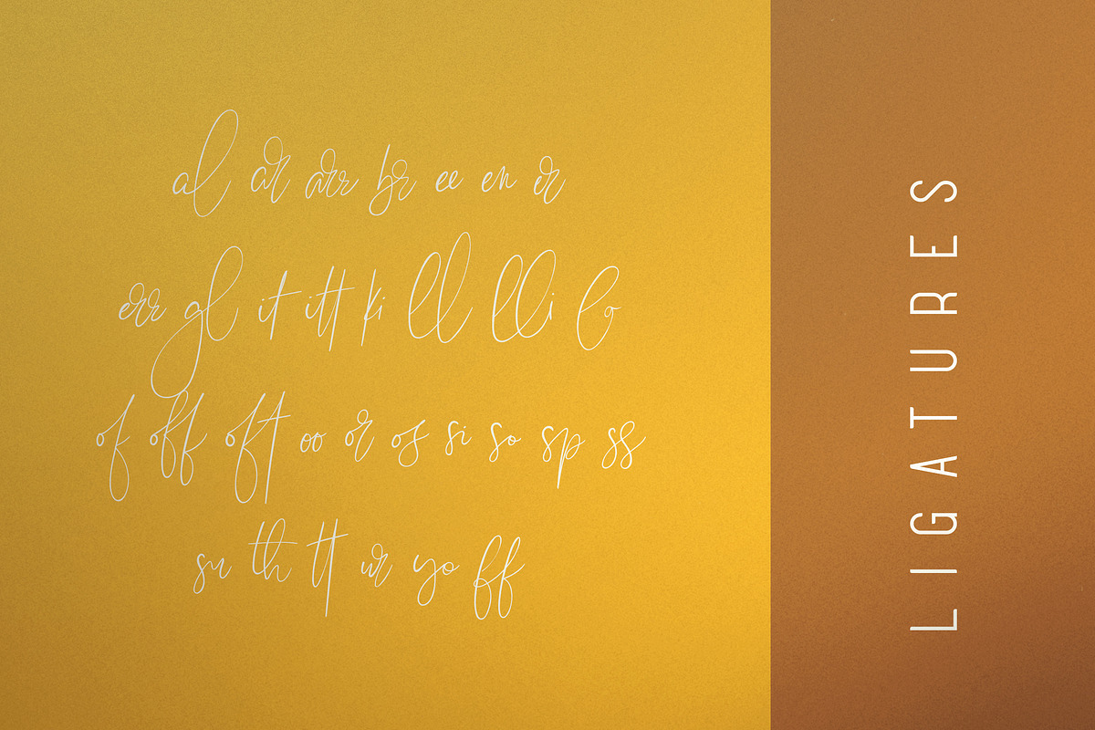 Sunflower - Font Duo preview 8