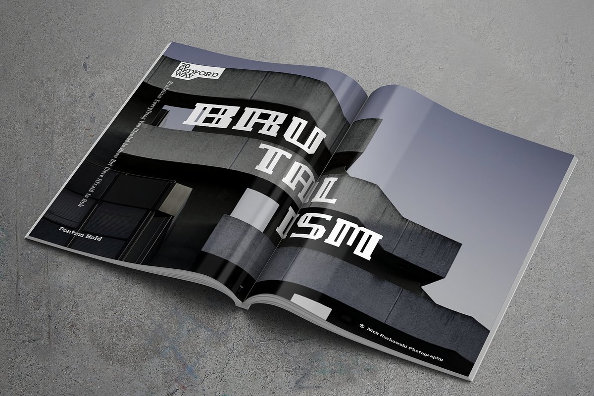 Pontem family-Regular-50% off preview 4