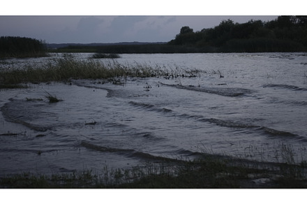 Waves on shallow water of lake beach, a Nature Photo by Media Whale Stock