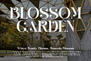 Milgis Elegant Serif Font, a Serif Font by Perfectype (Thumbnail 6 of 7)
