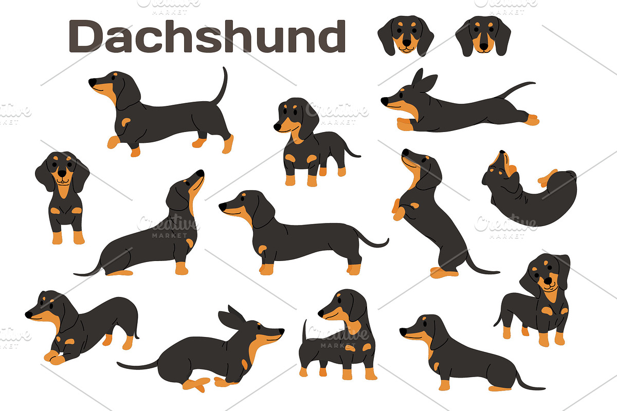 Dachshund vector illustration set, an Illustration by faitotoro (Photo 1 of 3)