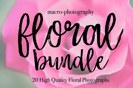 20 Stock Floral Macro-Photographs, a Nature Photo by Curly Hair Designs