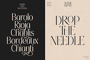 Thereon - Modern Romantic Serif Font, a Serif Font by VP Fonts (Thumbnail 9 of 21)