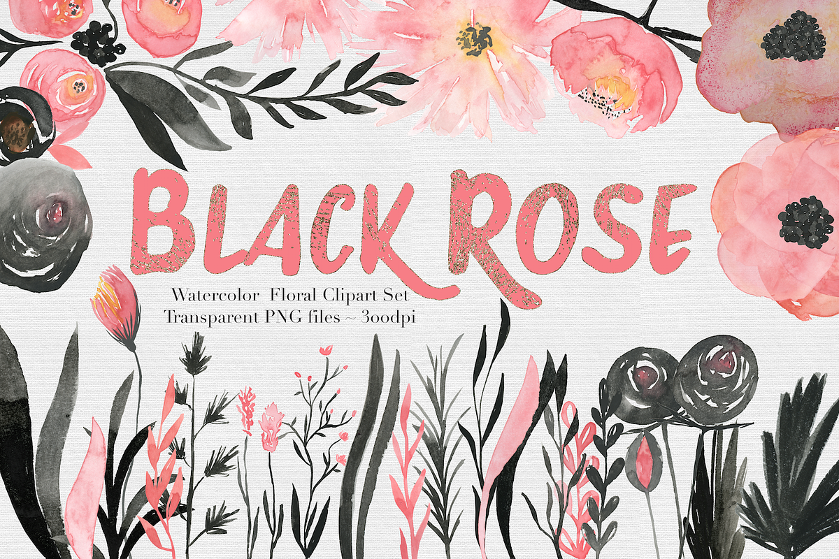 Black & Pink Rose Watercolor Set, an Illustration by The Autumn Rabbit Ltd (Photo 1 of 2)