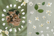 Petals Botanical Overlay Kit & Paper, an Object Graphic by Allure Art (Thumbnail 10 of 22)