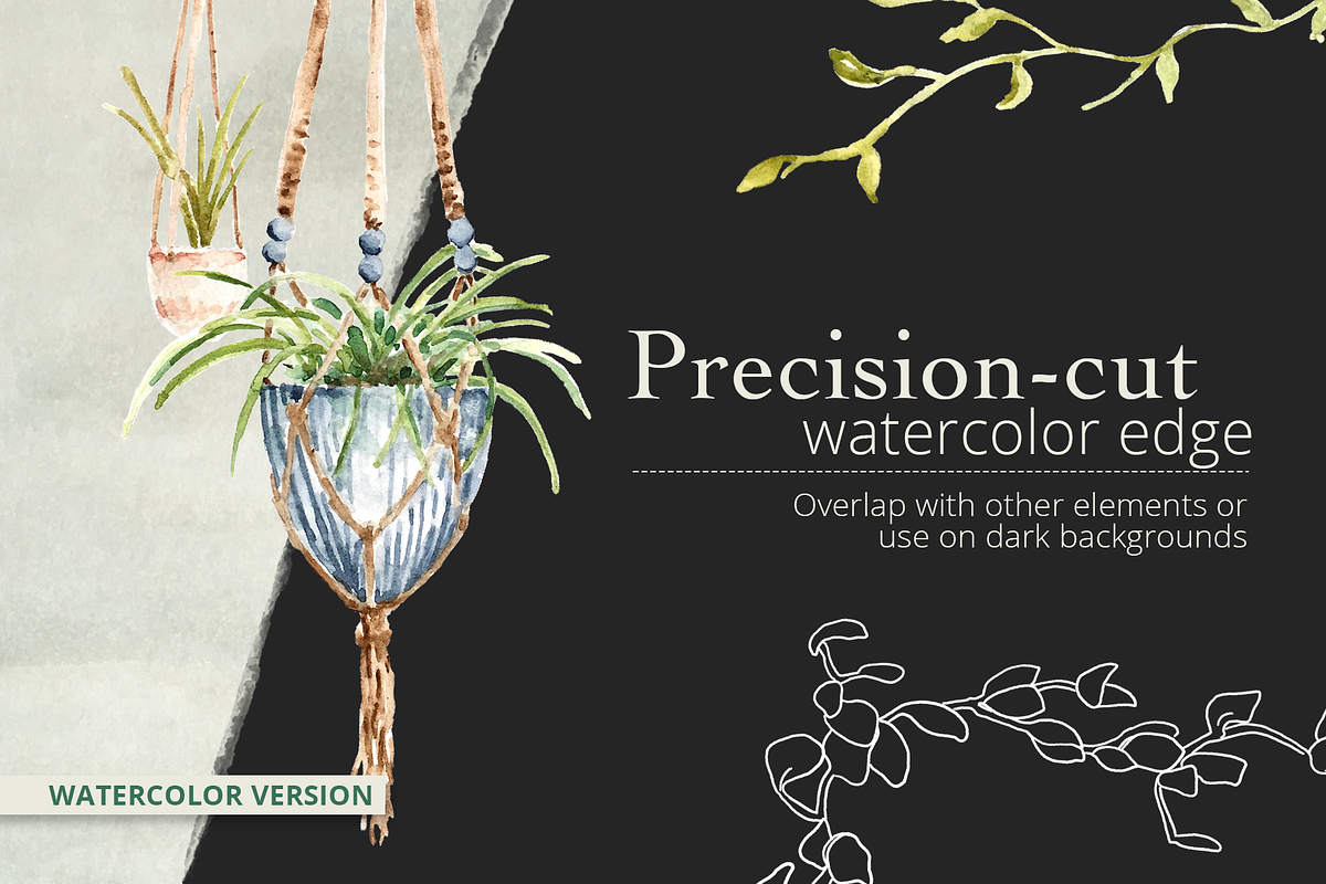 Watercolor Hanging Plant Sky Garden, an Illustration by plaidGecko (Photo 6 of 8)