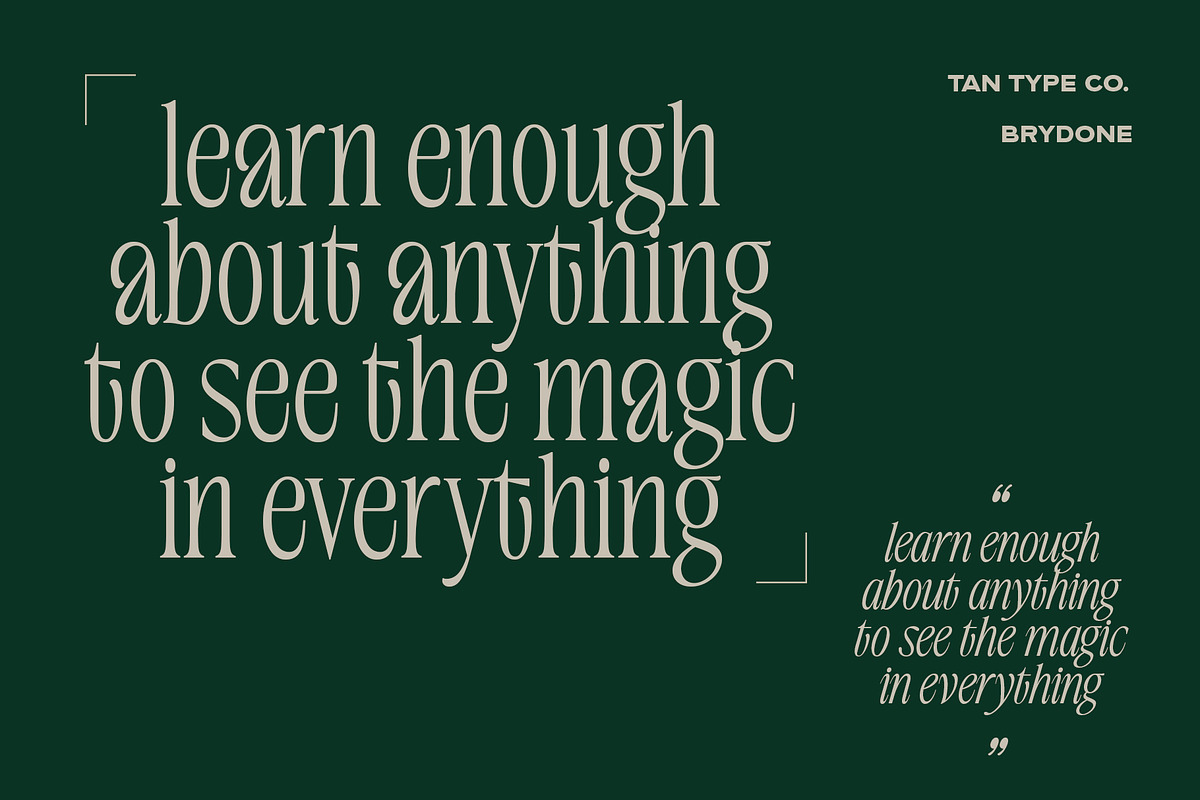 TAN-BRYDONE, a Font by TanType (Photo 7 of 16)