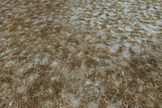 AUTUMN AND WINTER TEXTURE PACK, a Textures & Material 3D Model by Beatheart Creative Studio (Thumbnail 39 of 58)