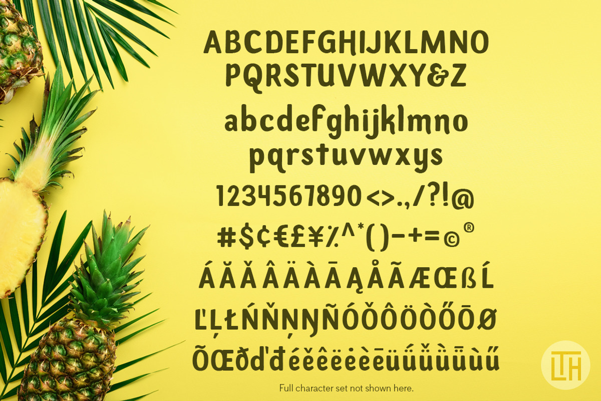 Summer Sans, a Font by Little Type House (Photo 4 of 4)