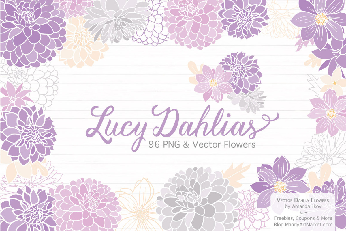 Lavender Dahlia Flowers Clipart, an Illustration by Amanda Ilkov (Photo 1 of 4)