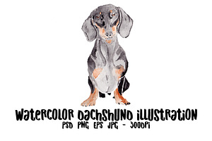 Dachshund Dog Illustration