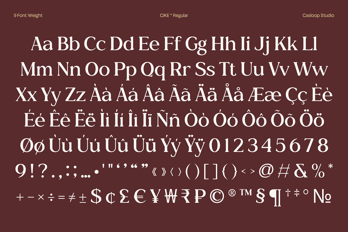 Cike – Flare Luxury Sans Typeface, a Serif Font by Casloop Studio (Photo 9 of 10)