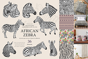 African zebras clipart, Safari Jungl, an Illustration by Siriliadka Dreams (Thumbnail 1 of 6)