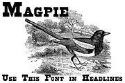 Brute Aldine, a Serif Font by Intellecta Design (Thumbnail 7 of 7)