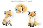 Watercolor Red Foxes, an Animal Illustration by Budogoshch (Thumbnail 2 of 5)