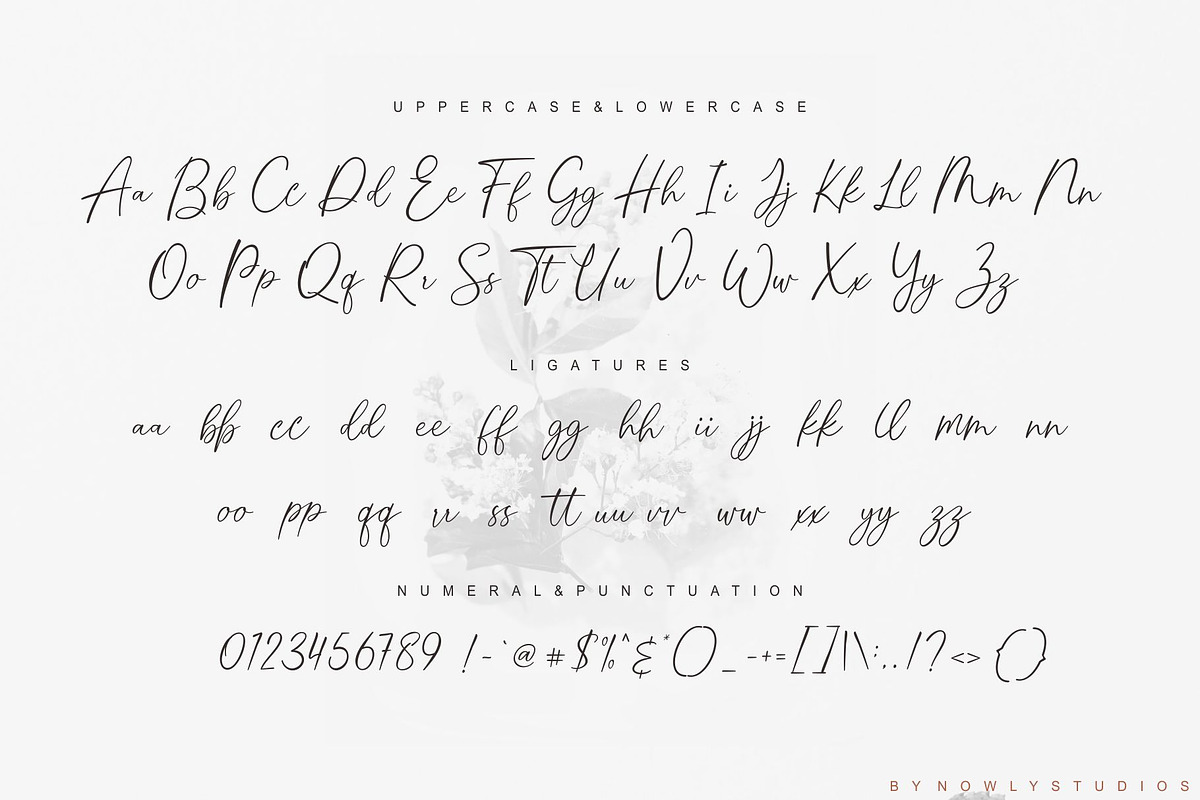 Street Camden Script, a Script Font by Nowlystudios (Photo 9 of 10)