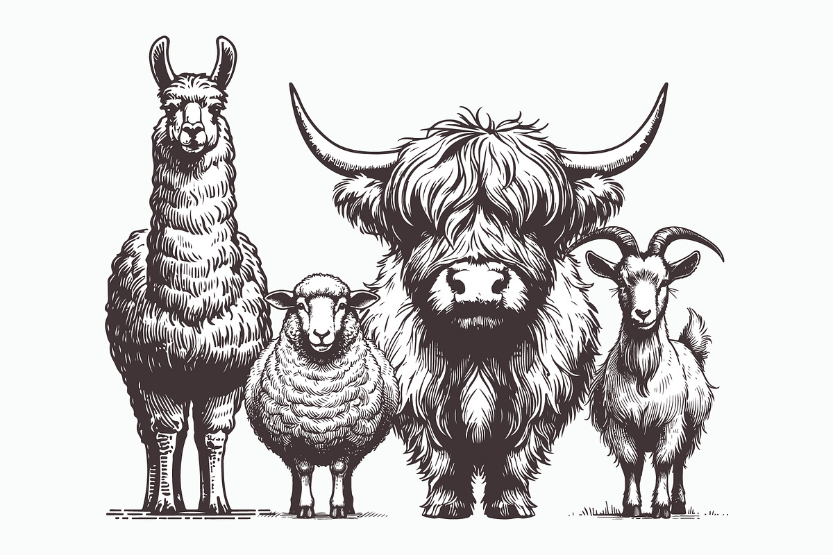 Rustic Farm Animals Vector Coll, an Animal Illustration by MkStudio (Photo 1 of 3)